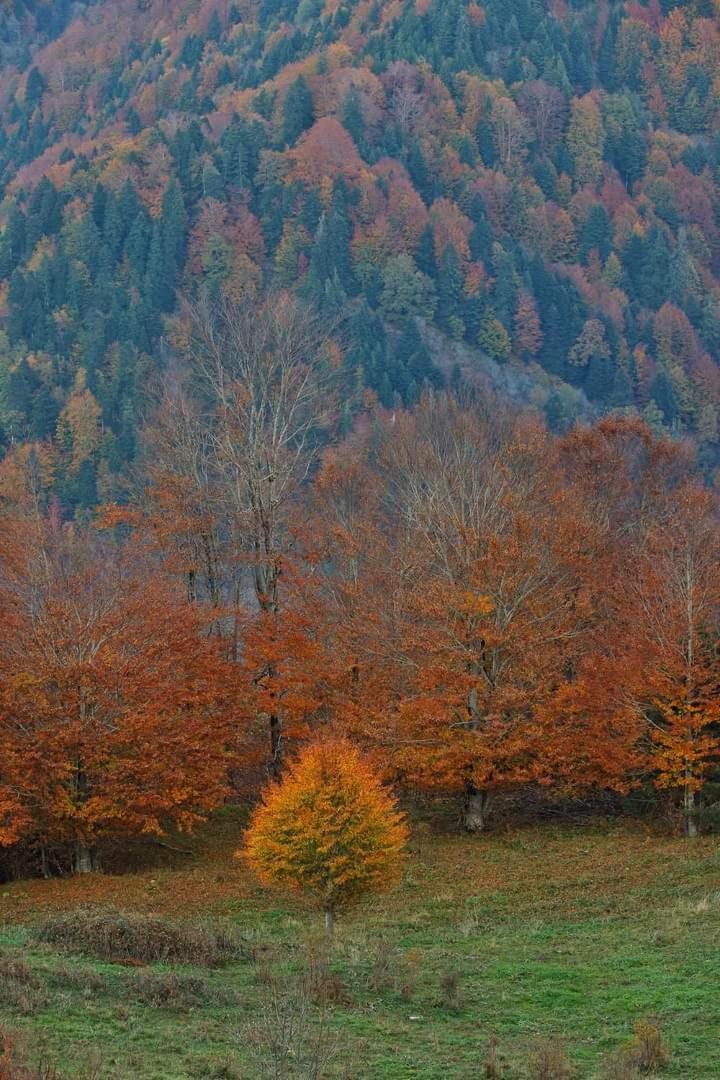 Archontiko Tou Krommyda Eláti Exterior foto