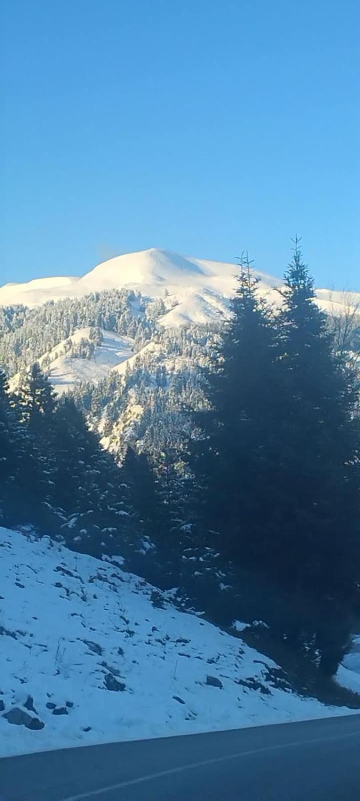 Archontiko Tou Krommyda Eláti Exterior foto