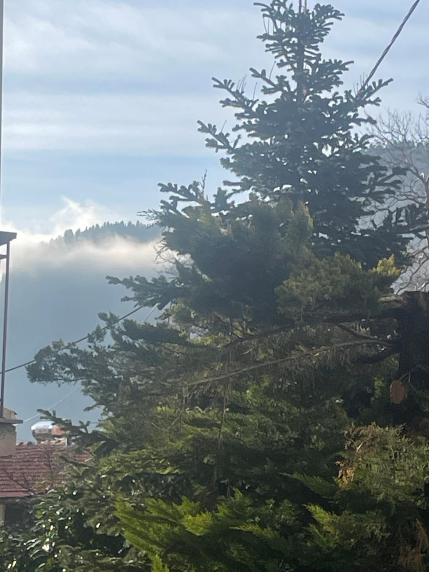 Archontiko Tou Krommyda Eláti Exterior foto